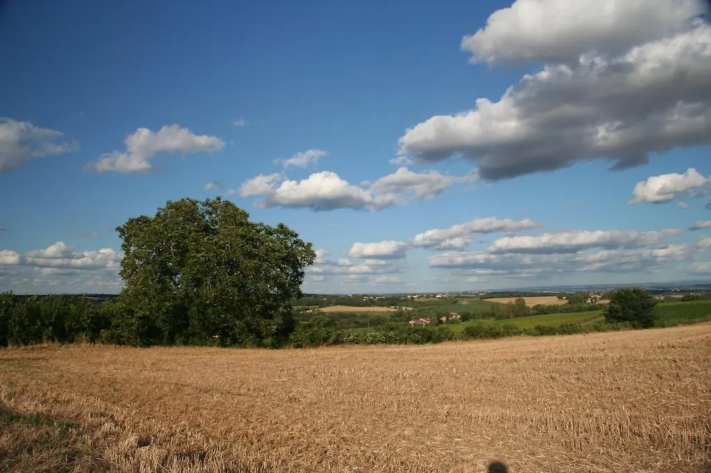 Puechblanc Gites Et Chambre D'Hote Dans Le Triangle D'Or Gaillac-Albi-Cordes Sur Ciel Fayssac 0*,